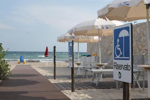 pedana spiaggia-decking-Lido io posso-wpc-felli-foto 5
